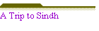 A Trip to Sindh