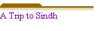 A Trip to Sindh