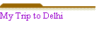 My Trip to Delhi